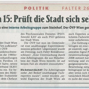 Falter Artikel Steinhof