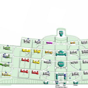 Steinhof Plan