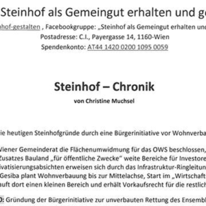 Steinhof Chronik