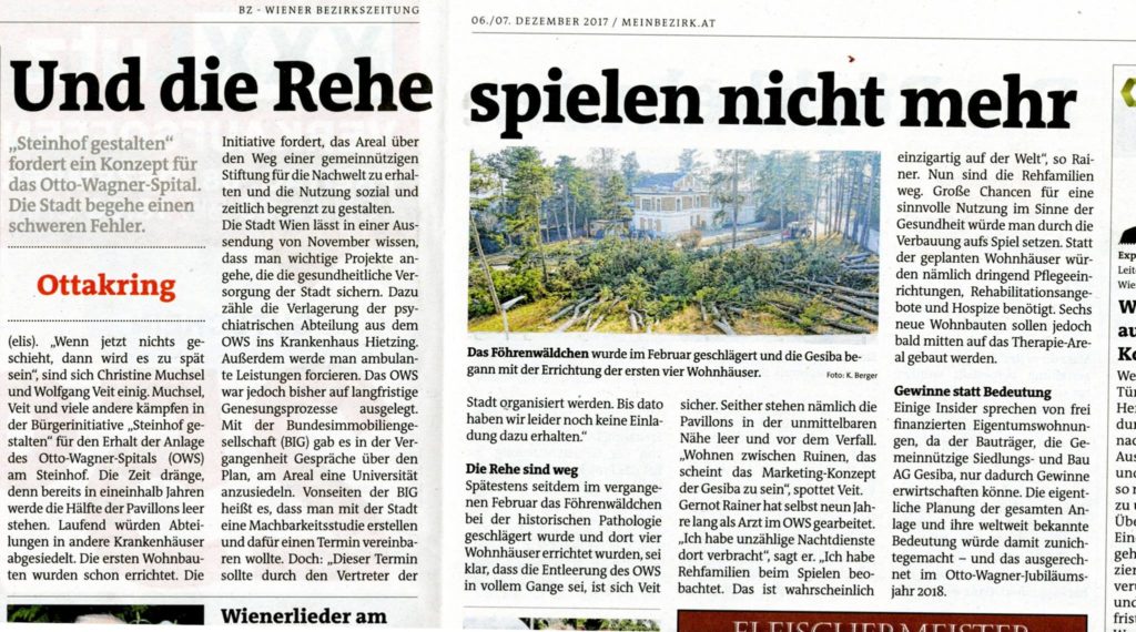 steinhof wiener bezirkszeitung