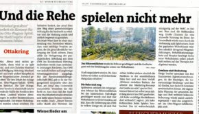 steinhof wiener bezirkszeitung